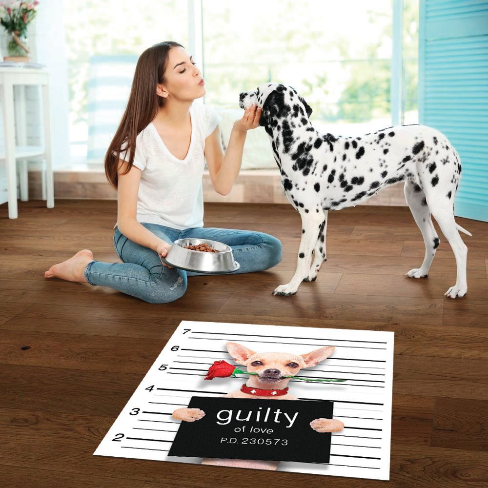 ALFOMBRA VINÍLICA PET BAD CHIHUAHUA 70X70 CM - 2
