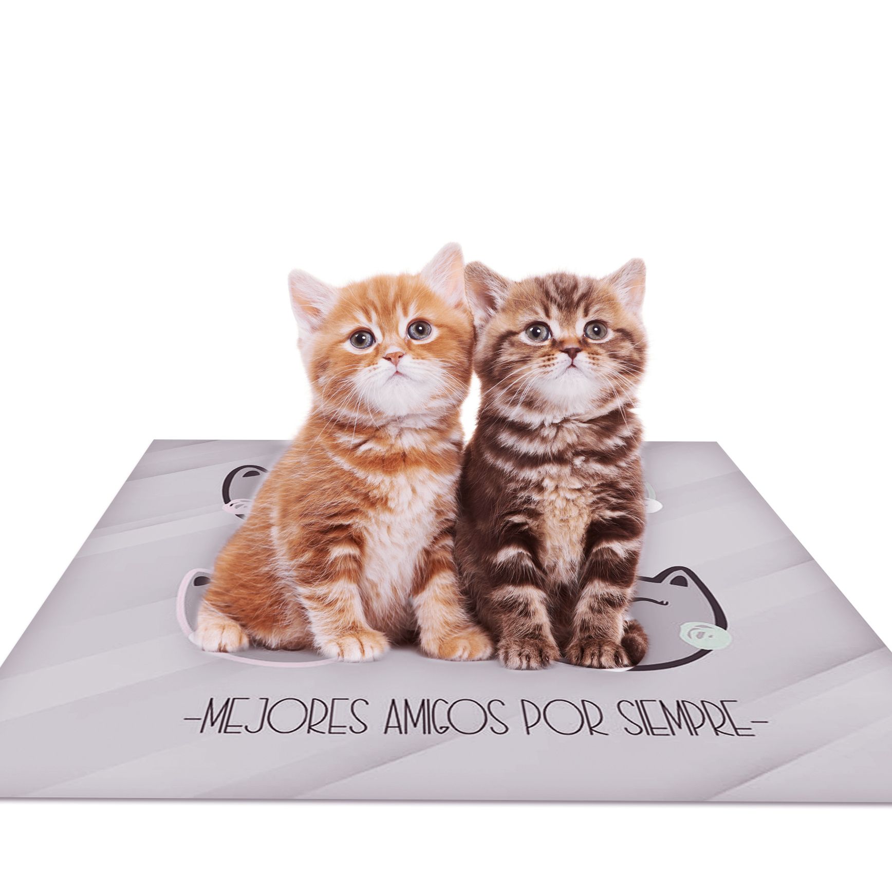 ALFOMBRA VINÍLICA PET GATITOS ANTIDESLIZANTE 70X70 CM - 2