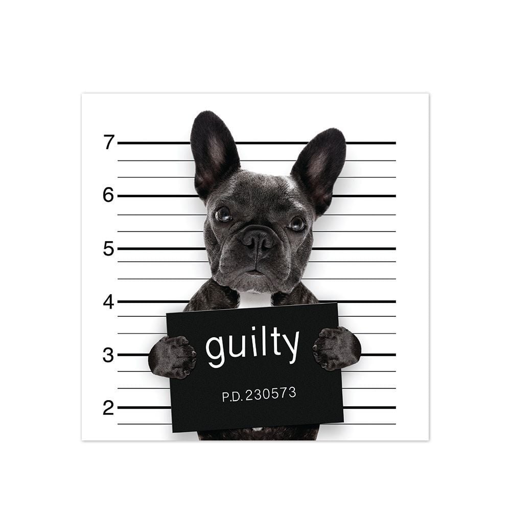 ALFOMBRA VINÍLICA PET BAD BULLDOG 70X70 CM - 1