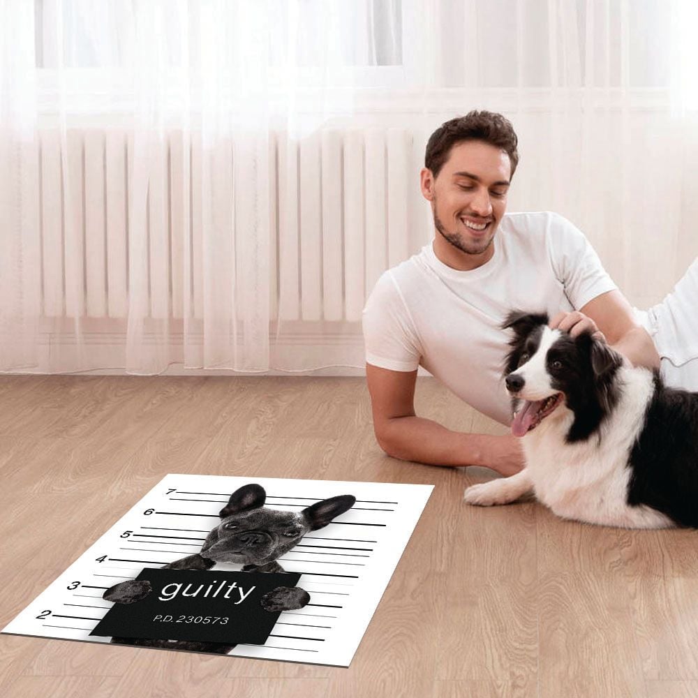 ALFOMBRA VINÍLICA PET BAD BULLDOG 70X70 CM - 2