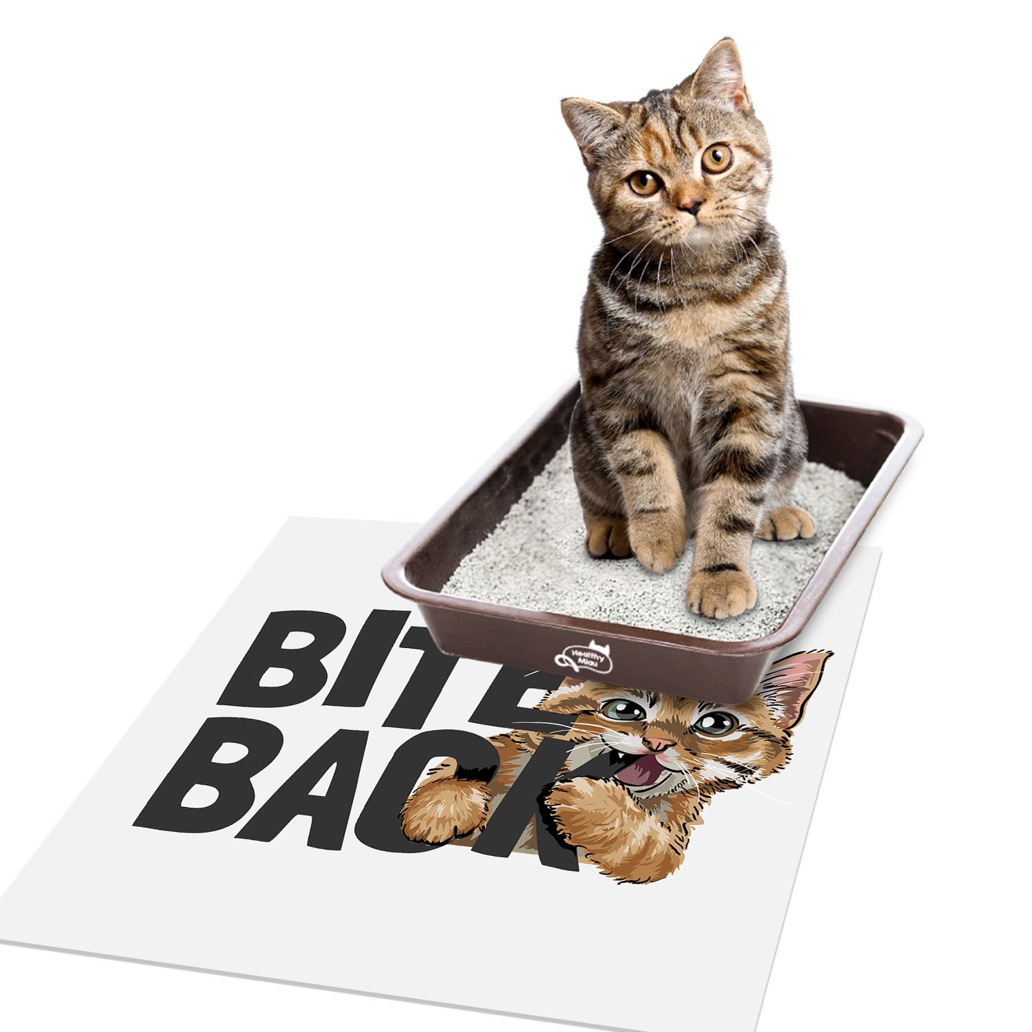 ALFOMBRA VINÍLICA PET BITE BACK 70X70 CM - 3