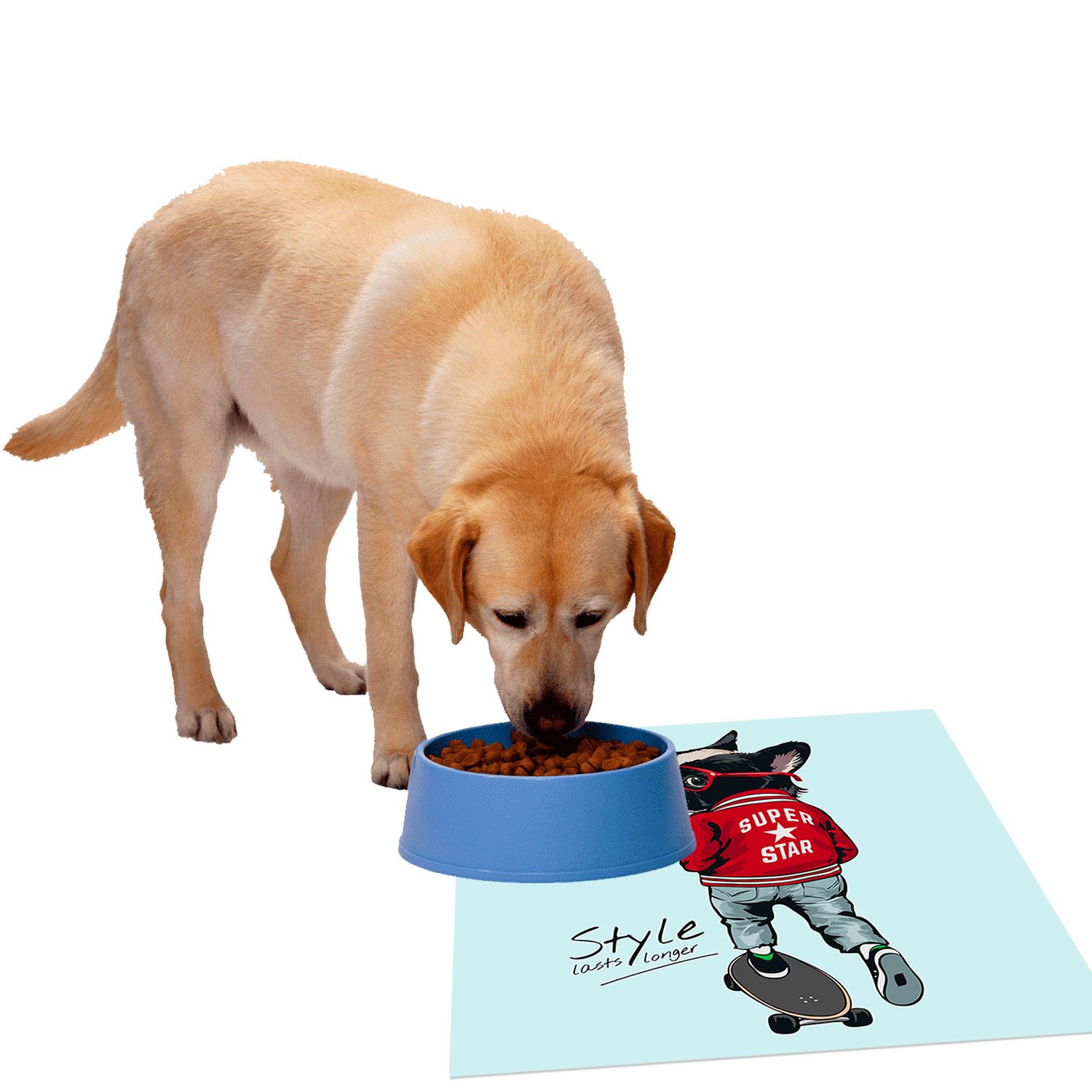 ALFOMBRA VINÍLICA PET SKATER DOG 70X70 CM - 3