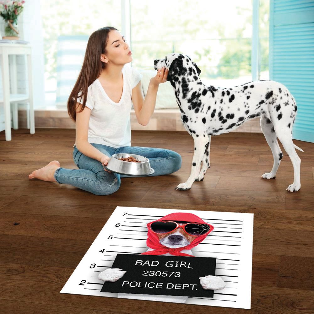 ALFOMBRA VINÍLICA PET BAD DIVA LADY DOG 70X70 CM - 2