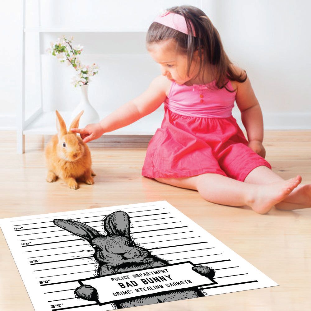 ALFOMBRA VINÍLICA PET BAD RABBIT 70X70 CM - 2