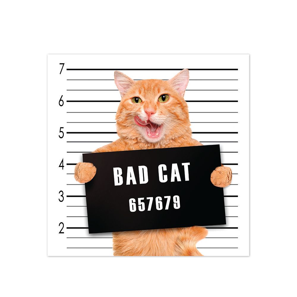 ALFOMBRA VINILICA PET BAD CAT ANTIDESLIZANTE 70X70 CM