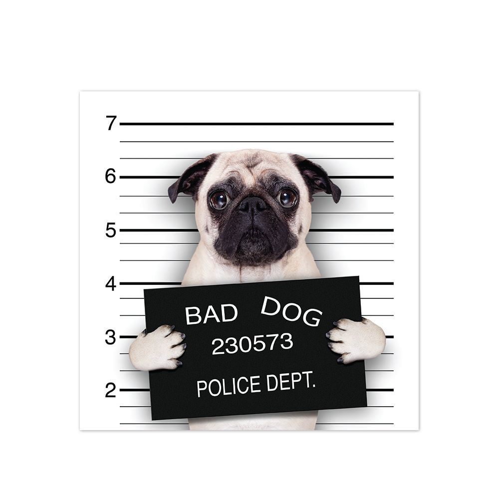 ALFOMBRA VINÍLICA PET BAD PUG ANTIDESLIZANTE 70X70 CM - 1