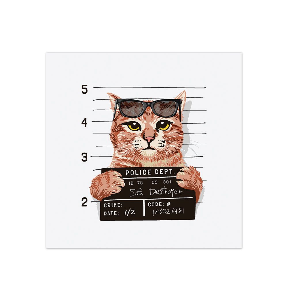 ALFOMBRA VINILICA PET BAD COOL CAT  70X70 CM