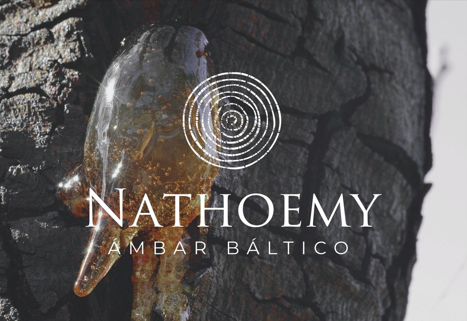 COLLAR AMBAR BALTICO PACK 10 UNID. DIFERENTES TONOS INFANTIL - 8