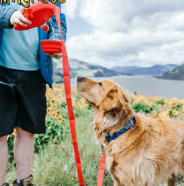 CORREA PARA PERRO 3 EN 1 CON ALMACENAMIENTO DE AGUA MAS TAZÓN PLEGABLE Y DISPENSAD - 4