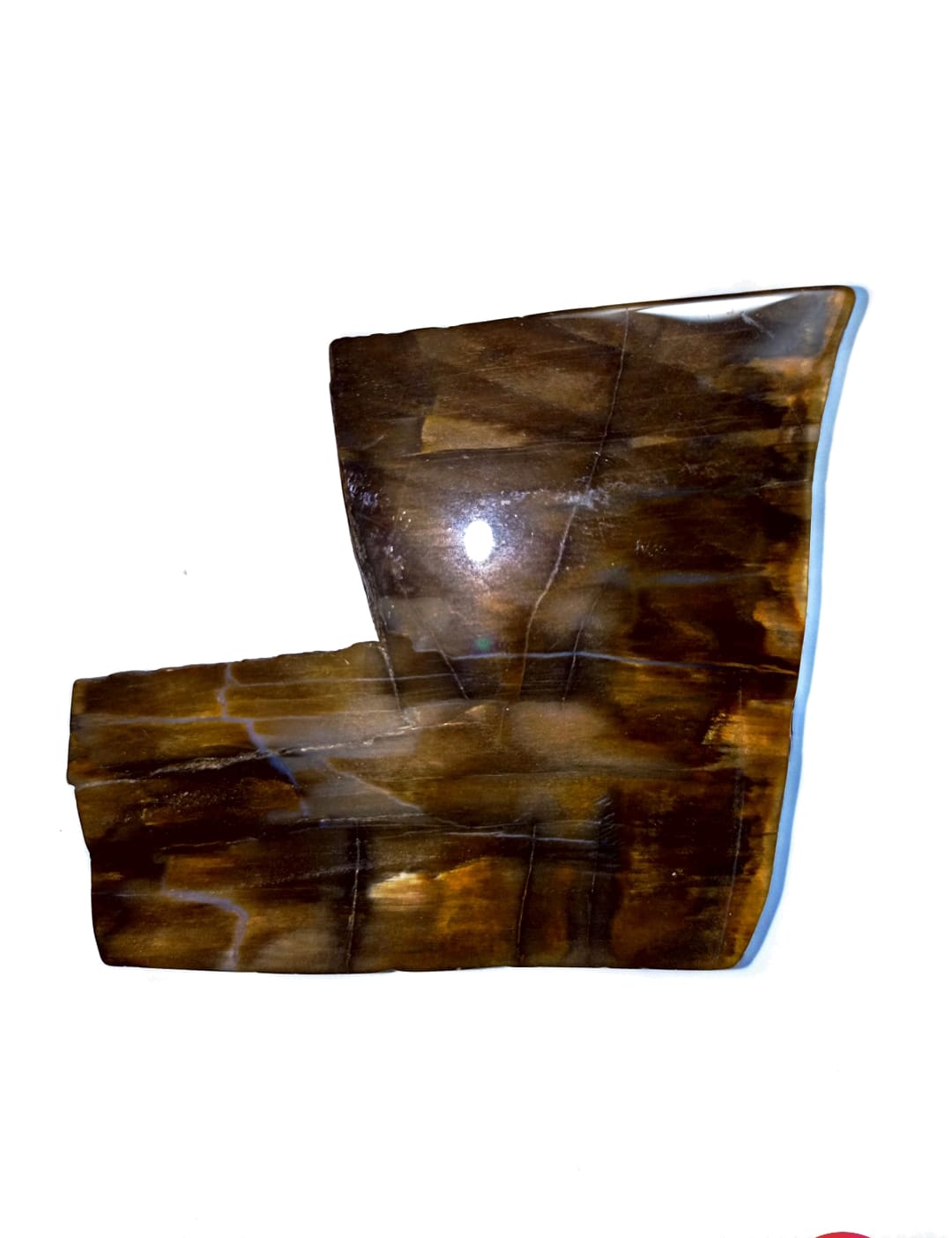 MADERA PETRIFICADA NATURAL 57X 64 X 10 MM - 1
