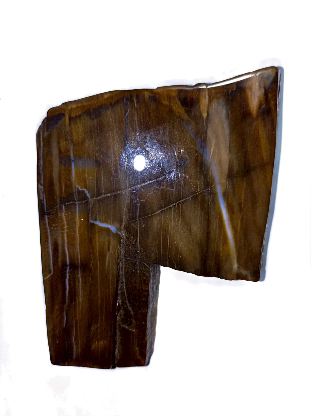 MADERA PETRIFICADA NATURAL 57X 64 X 10 MM - 2