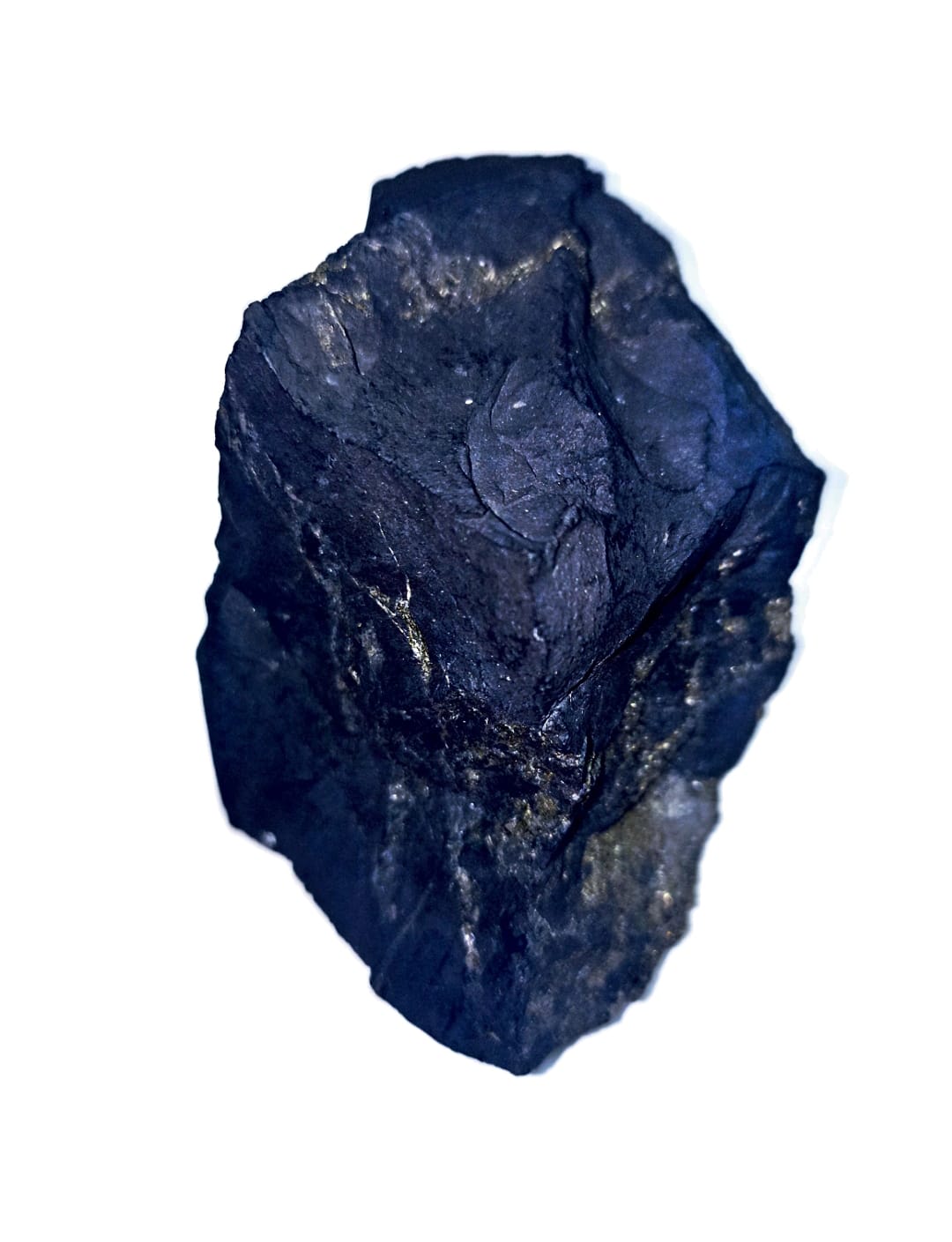 SHUNGITA GENUINA EN BRUTO 176 GRAMOS 87 X 55 55 X 49 MM X 49 MM - 1