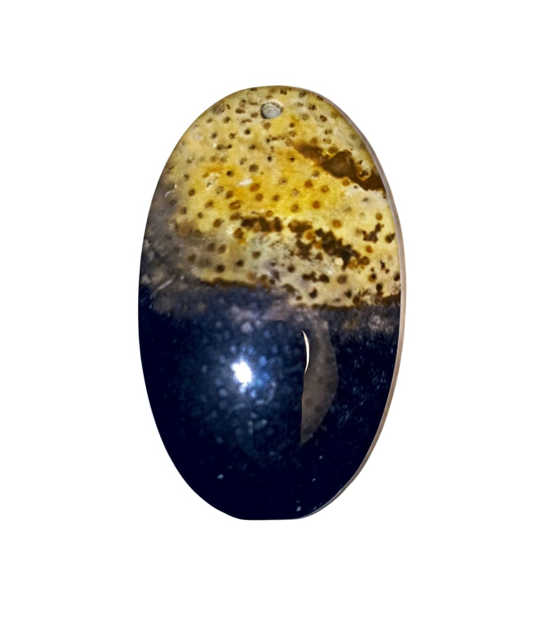 PIEDRA FOSIL DE RAIZ DE PALMA INDONESIA - 1