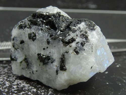 PIEDRA LUNA EN BRUTO NATURAL 259 CT - 1