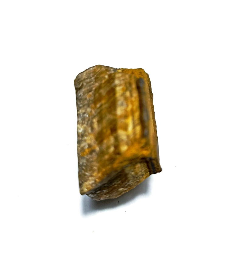 MADERA PETRIFICADA  4 CM  AFRICA - 1