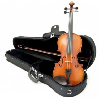 VIOLIN ALAGUEZ 4/4 NATURAL - 1