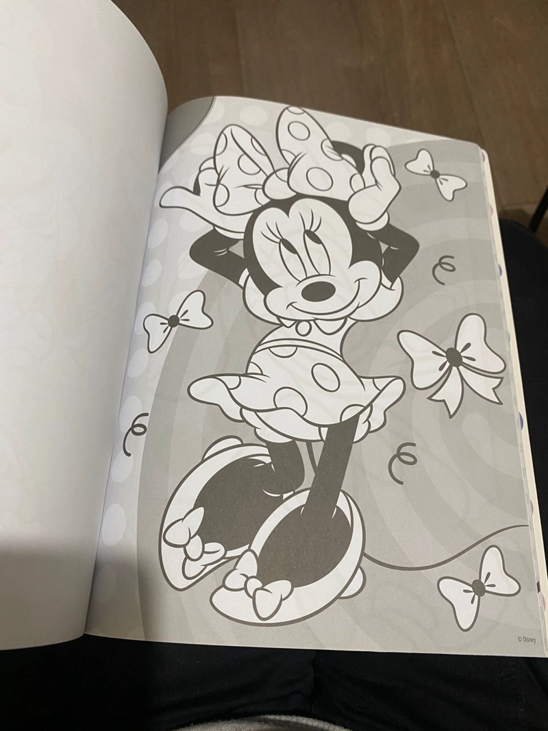 LIBRO PINTA Y CALCA CON MINNIE Y DAISY - 2