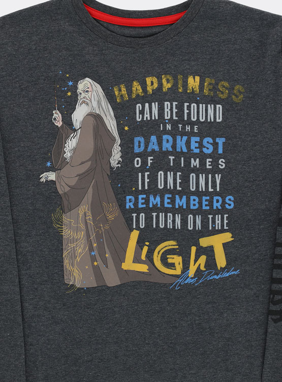 POLERA DE NIÑO TALLA 14 MANGA LARGA DISEÑO DUMBLEDORE SAGA HARRY POTTER - 2