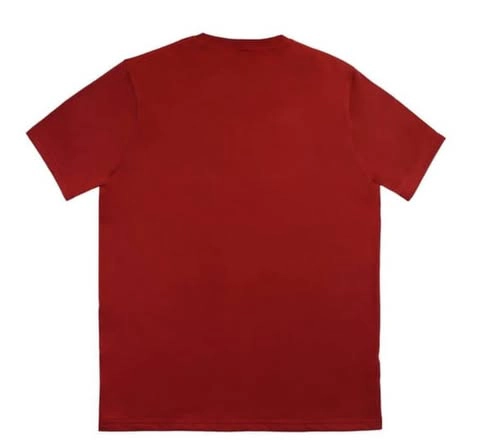 POLERA JURASSIC PARK TALLAS L Y XL - 4