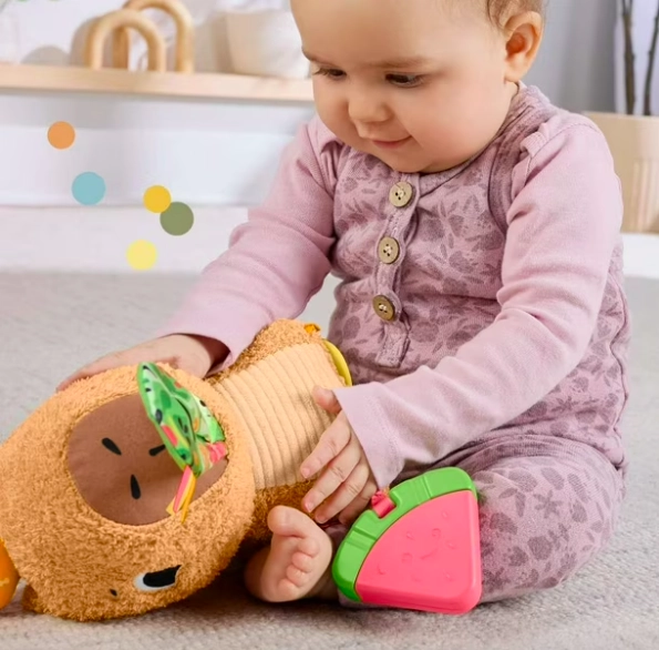 CAPIBARA PELUCHE SENSORIAL - 2