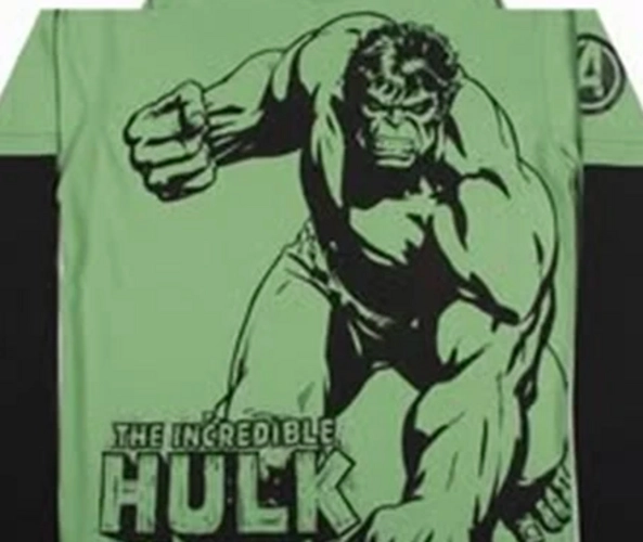 POLERA HULK MANGA LARGA - 4