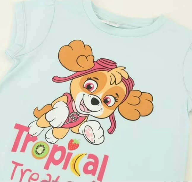 PIJAMA SKYE PAW PATROL TALLA 3 - 4