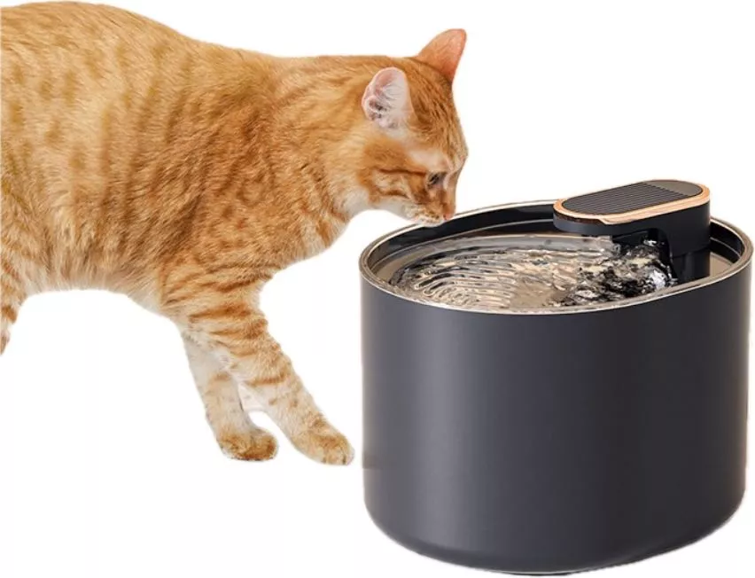 DISPENSADOR DE AGUA INTELIGENTE PARA MASCOTAS NEGRO - 1