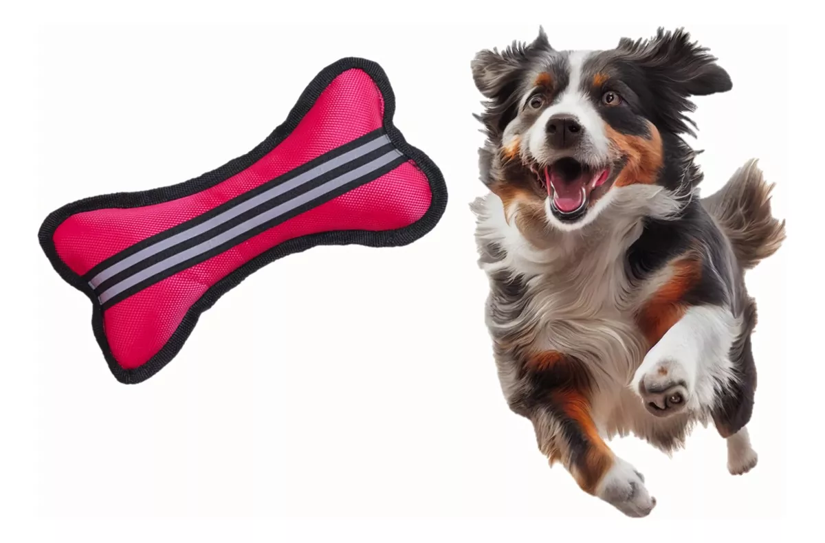 FRISBEE VOLADORES JUGUETES PARA PERROS HUESO JUGUETE FUCSIA - 1