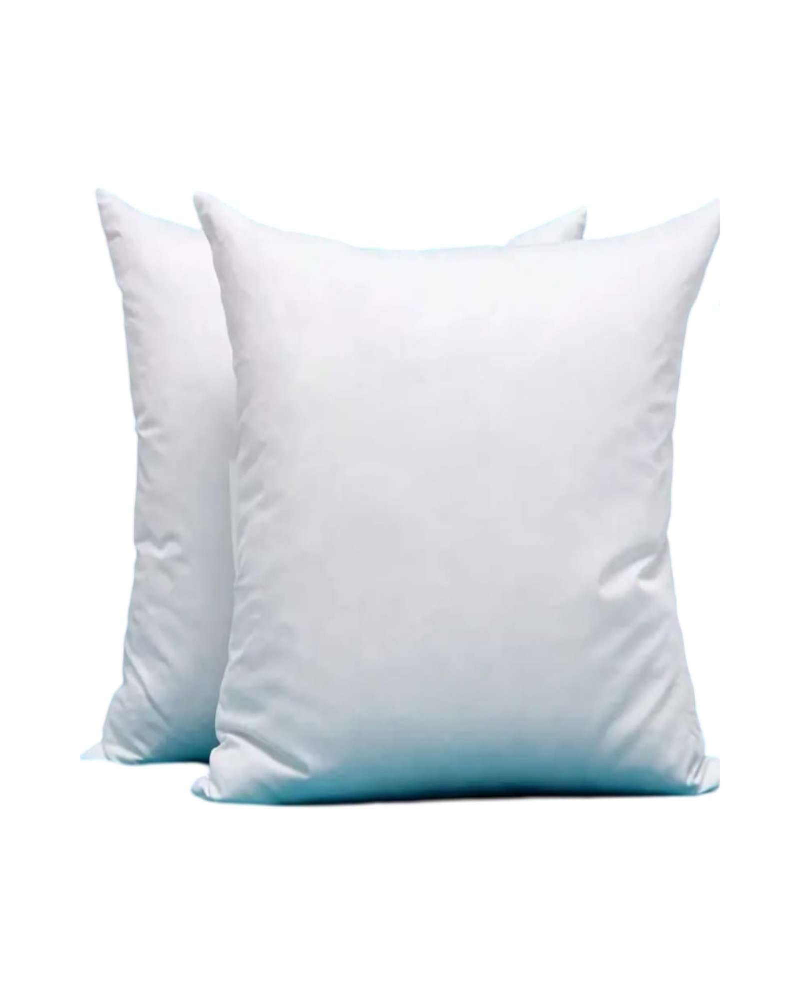 PACK DE 2 UNIDADES DE COJINES 40X40 CM - 3