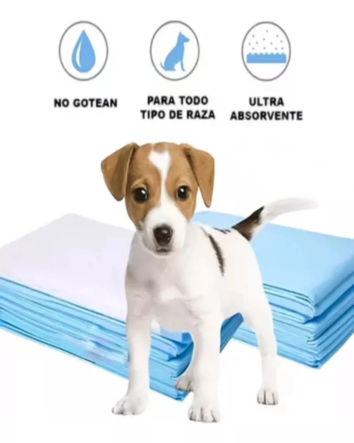 40 PAÑALES TIPO SABANILLAS DESECHABLE MASCOTAS TALLA XL - 2