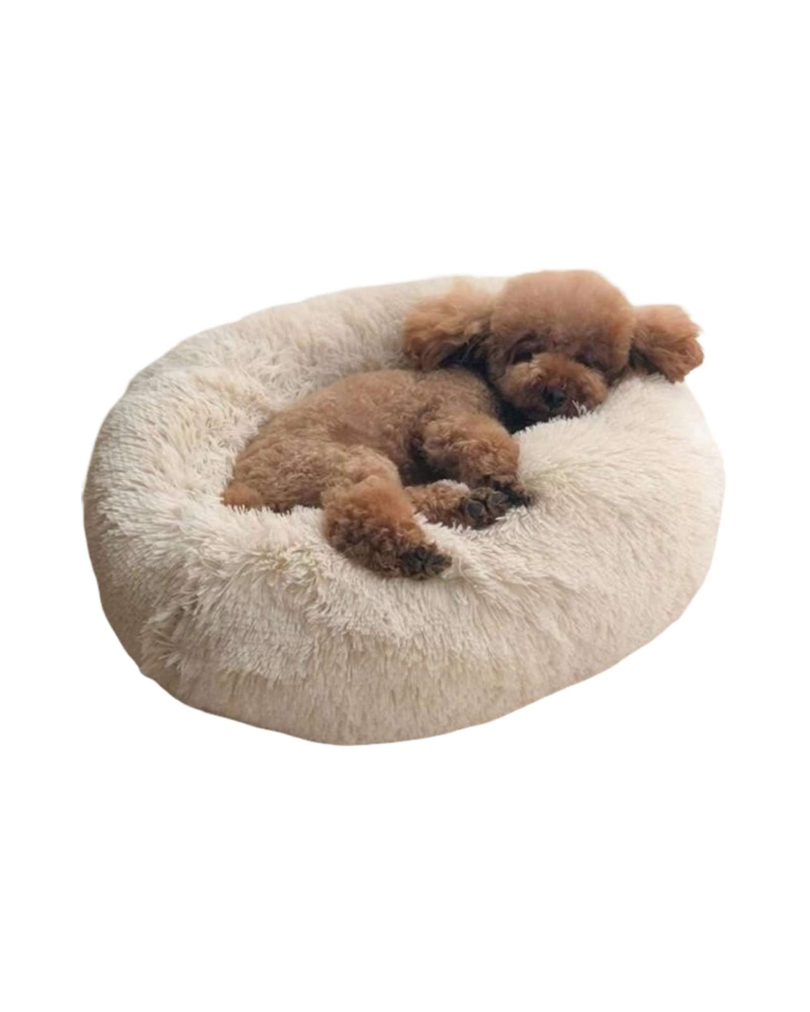 CAMA ACOLCHADA DE ALTA DENSIDAD PARA TUS MASCOTAS 70 CM - 3