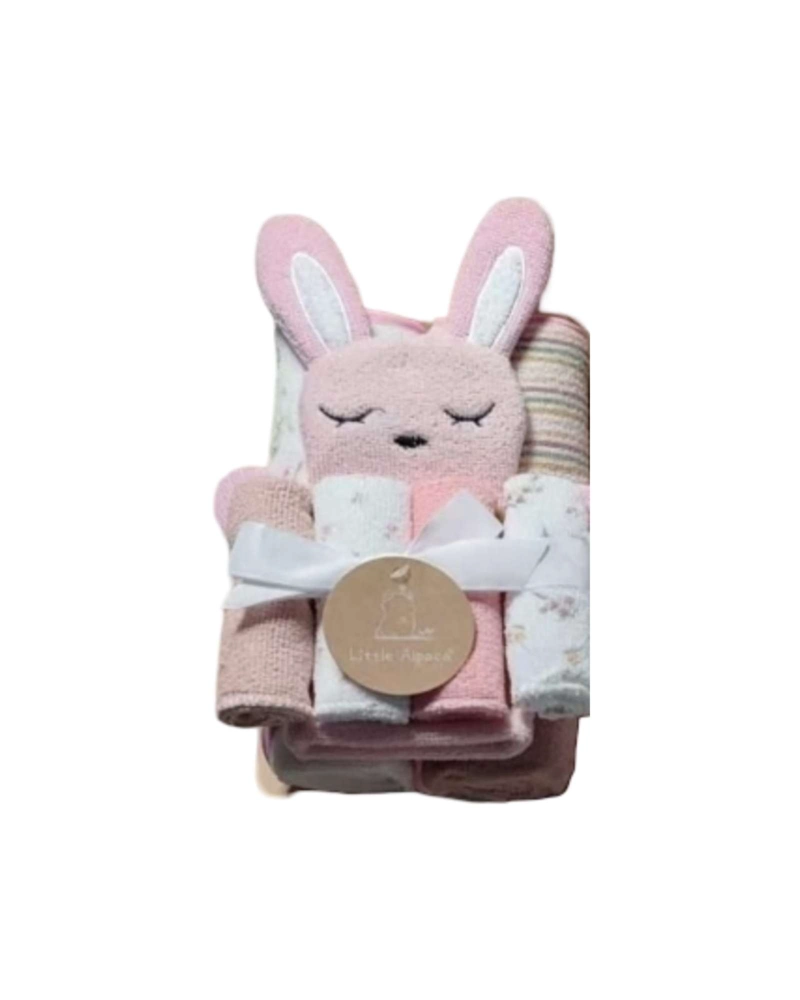 PACK DE TOALLITAS Y PAÑITOS ENCANTO PARA BEBE - 6