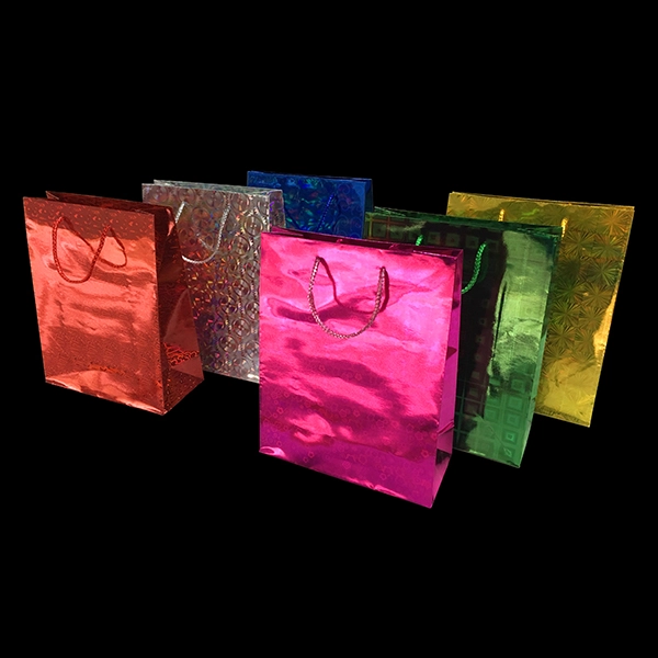BOLSA DE REGALO HOLEO COLORES SURTIDOS 23X18 CM X12 UNI - 1
