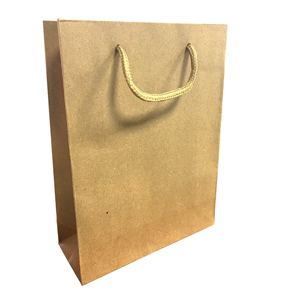 BOLSA DE REGALO PAPEL KRAFT 20X15 CM X12 UNI - 1