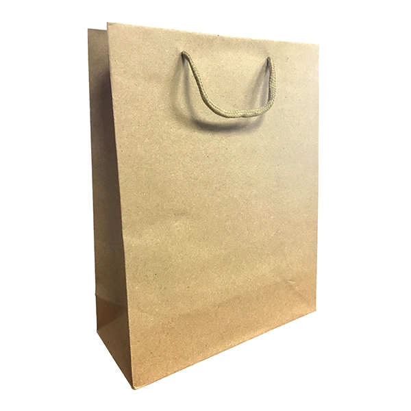 BOLSA DE REGALO PAPEL KRAFT 24.5X19 CM X12 UNI - 1