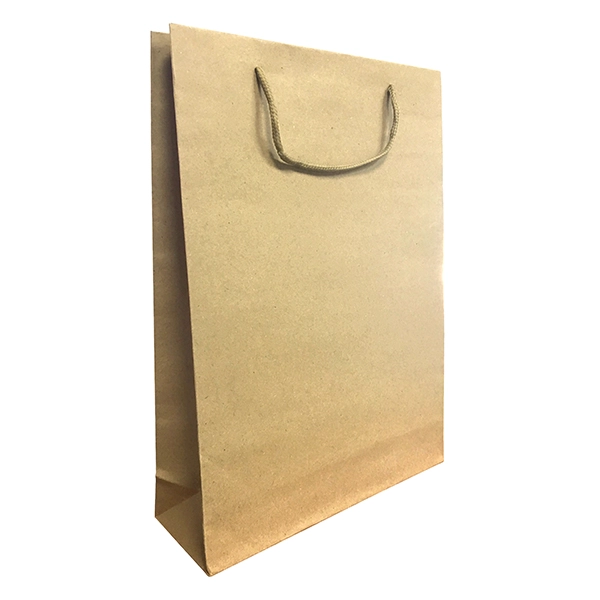 BOLSA DE REGALO PAPEL KRAFT 33X24 CM X12 UNI - 1