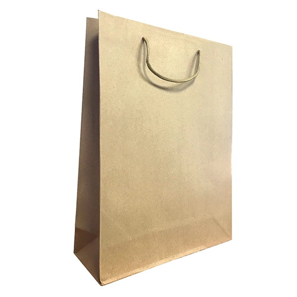 BOLSA DE REGALO PAPEL KRAFT 36X27 CM X12 UNI - 1