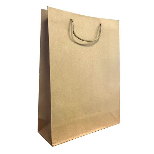 BOLSA DE REGALO PAPEL KRAFT 42X31.5 CM X12 UNI - 1