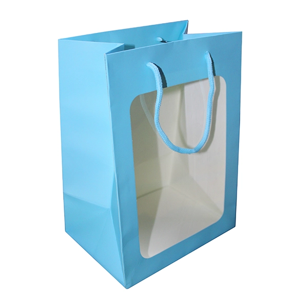 BOLSA DE REGALO VENTANA 25X18X13 CM CELESTE X12 UNI - 1