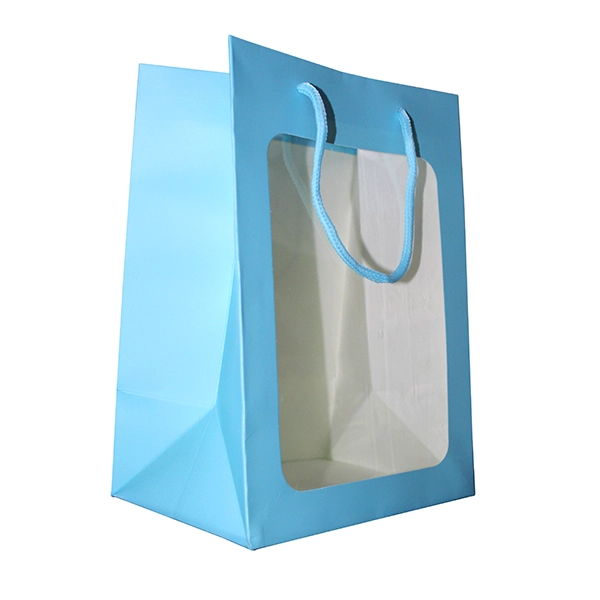 BOLSA DE REGALO VENTANA 35X25X18 CM CELESTE X12 UNI - 1
