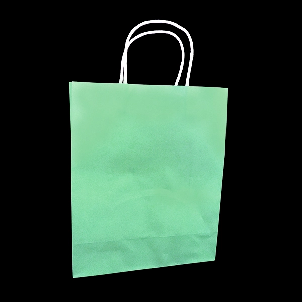 BOLSA REGALO KRAFT PASTEL MENTA 21 X 27 X 11 X12 UNI - 1