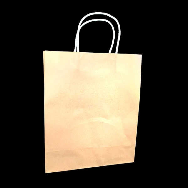 BOLSA REGALO KRAFT PASTEL DAMASCO 21 X 27 X 11 X 12UNI - 1