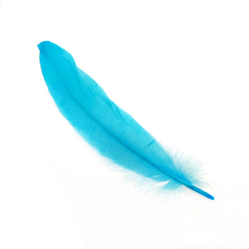 PLUMA 17CM CALIPSO X12UNI - 1