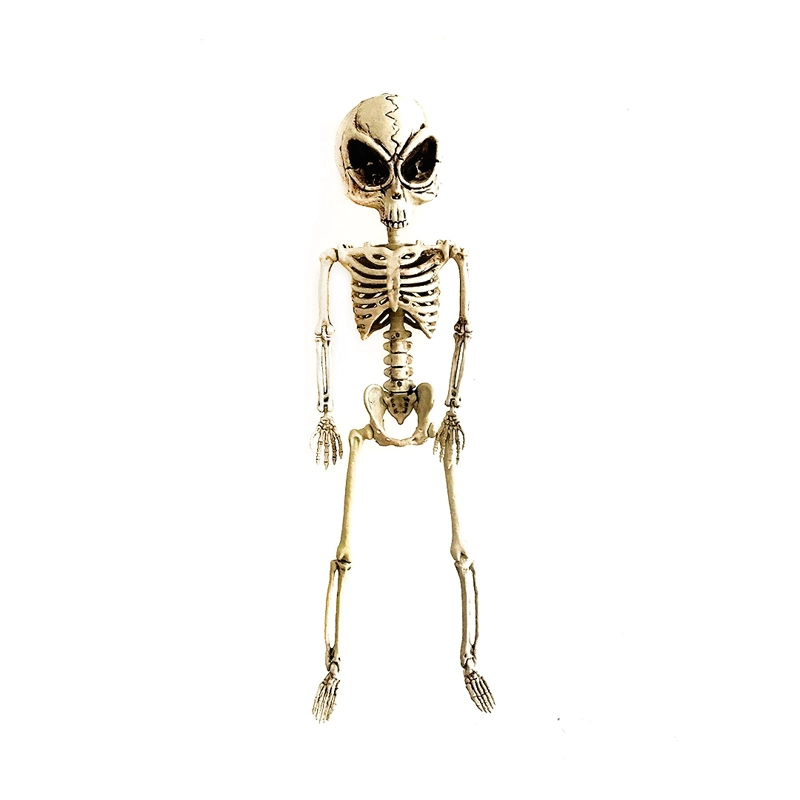 ESQUELETO ALIEN COLGANTE 62CM X1UNI - 1