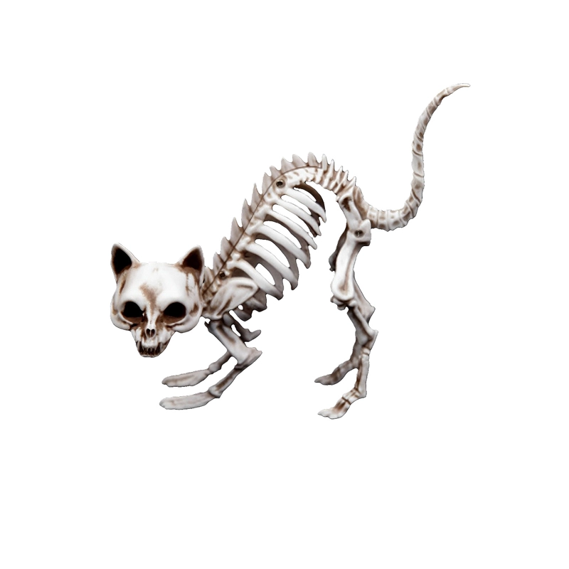 ESQUELETO GATO 19CM X1UNI - 1