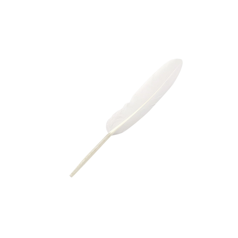 PLUMA 13CM BLANCO X12UNI - 1