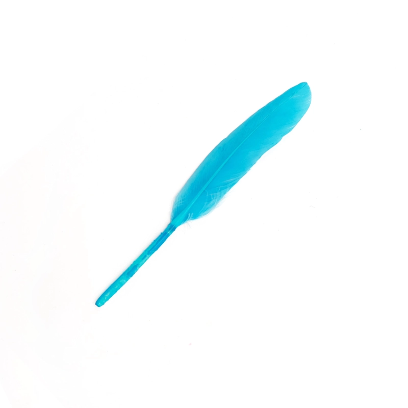 PLUMA 13CM CALIPSO X12UNI - 1