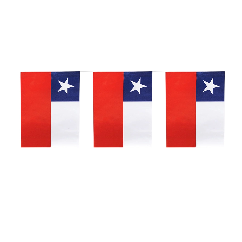 GUIRNALDA FP BANDERA CHILE PAPEL 10 MT X1 UNI - 1