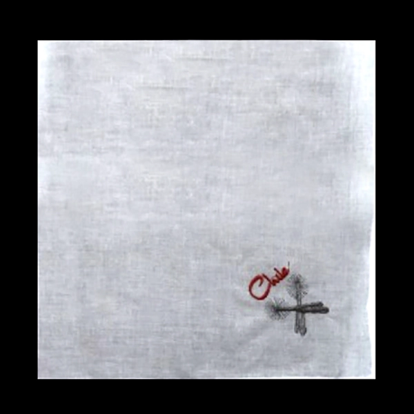 PA?UELO 18 BORDADO ESPUELA CHILE 30X29CM X12 UNI - 1