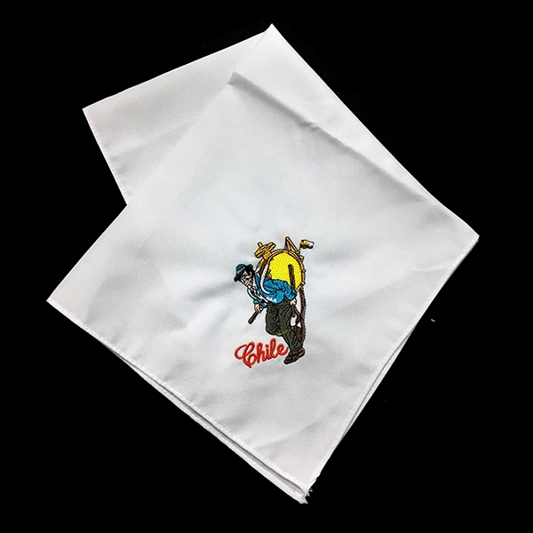 PA?UELO COMPETENCIA CHINCHINERO 45X45 CM X12 UNI - 1